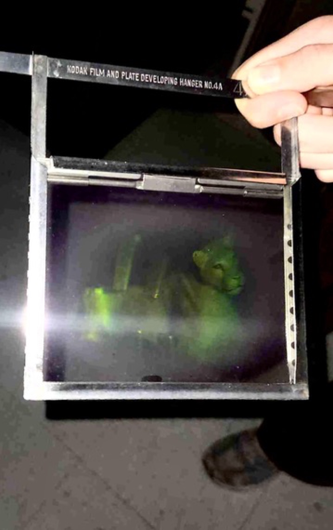 Holographic lion PHY294 lab